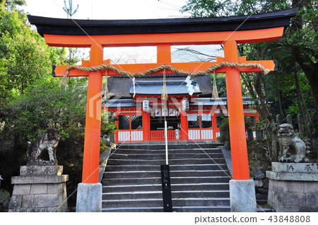 Uji City: Red torii gate and inner gate in the grounds of Uji Shrine 43848808
