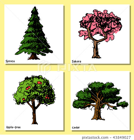 Vector tree sketch hand drawn style types green forest pine treetops collection of birch, cedar and Vector tree sketch hand drawn style types green forest pine treetops collection of birch, cedar and 43849027