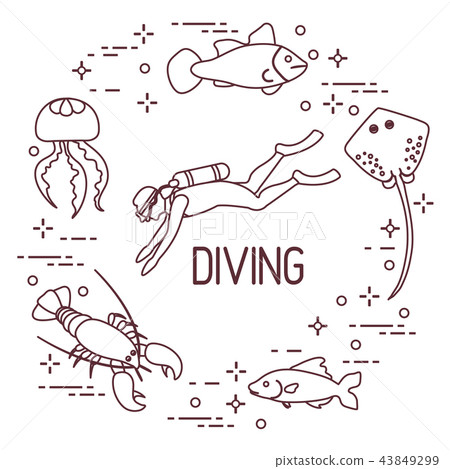 Diver, jellyfish, lobster, stingray, fish Diver, jellyfish, lobster, stingray, fish 43849299