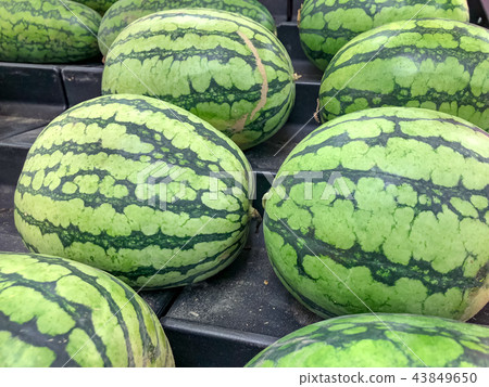 Fruit stand 43849650