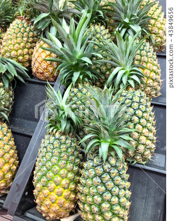 Fruit stand 43849656