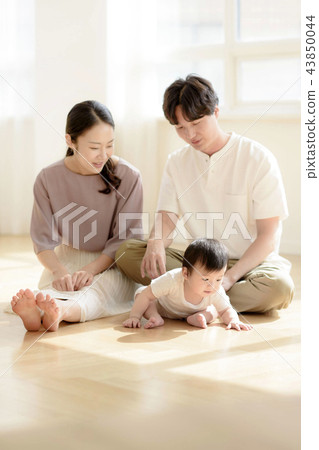 Three authorized families Three authorized families 43850044