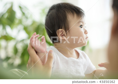 Three authorized families 43850162