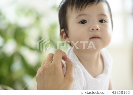 Three authorized families 43850163