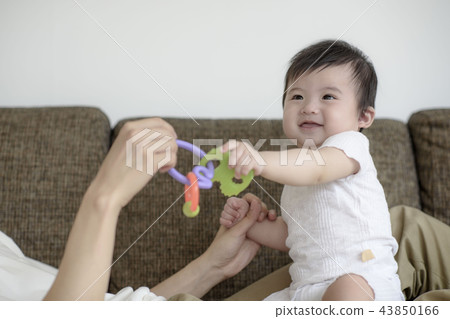 三個授權家庭 43850166