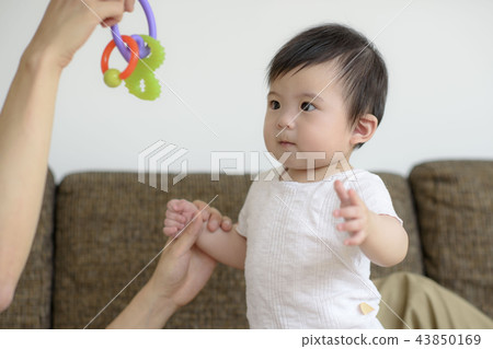 Three authorized families Three authorized families 43850169