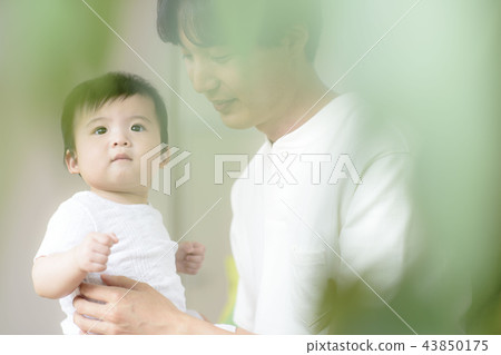 Three authorized families 43850175