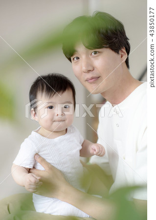 三個授權家庭 三個授權家庭 43850177