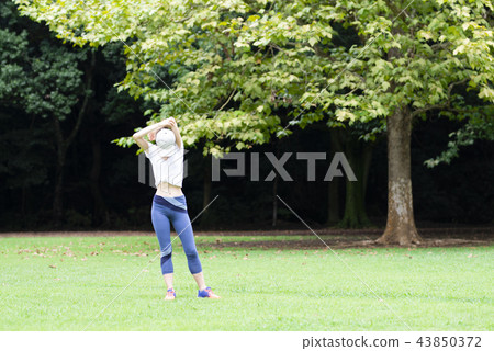 Women exercising in the park Women exercising in the park 43850372