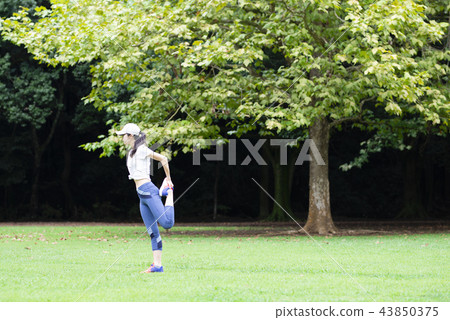 Women exercising in the park Women exercising in the park 43850375