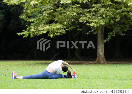Women exercising in the park Women exercising in the park 43850384