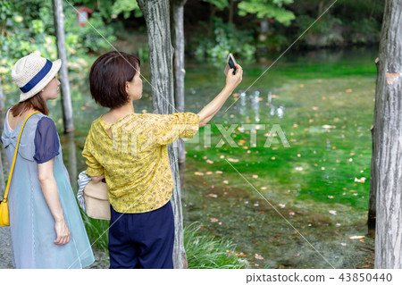 富士女性的旅程 富士女性的旅程 43850440