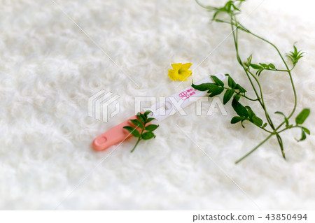 Pregnancy test drug 43850494