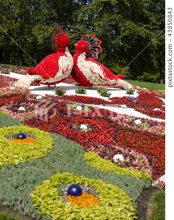 Two large birds made of flowers. In the park in th Two large birds made of flowers. In the park in th 43850843