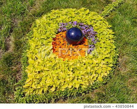 Flowers are planted in the form of a leaf with a s Flowers are planted in the form of a leaf with a s 43850844
