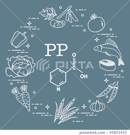 Foods rich in vitamin PP 43851435
