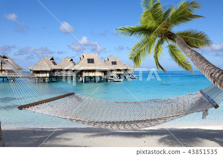 hammock and the dark blue sea 43851535