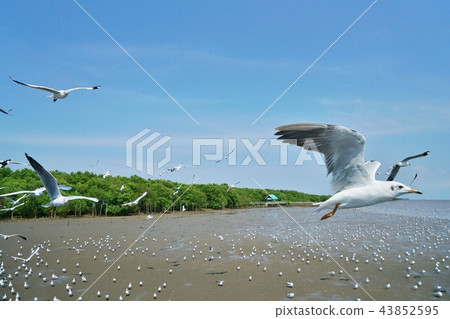 Scenery at Bangpoo resort in Samut Prakan Province, Thailand Scenery at Bangpoo resort in Samut Prakan Province, Thailand 43852595