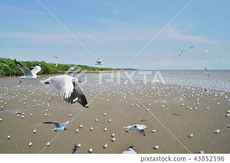 scape, scene, scenery 43852596