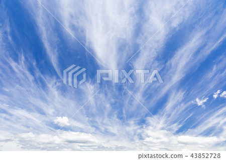 Autumn _ dynamic cirrus Autumn _ dynamic cirrus 43852728