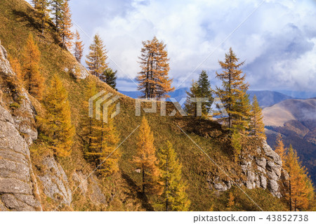 Bucegi Mountains, Romania 43852738