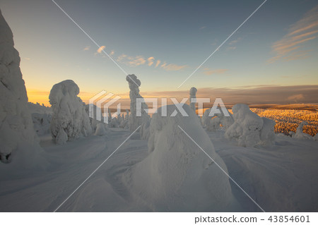 Finnish Lapland in Winter Finnish Lapland in Winter 43854601