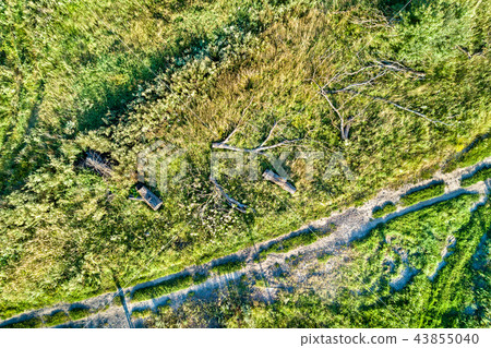 Fallen trees near a dirt road in Kursk Region of Russia Fallen trees near a dirt road in Kursk Region of Russia 43855040