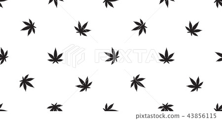 Marijuana seamless pattern vector cannabis Weed Marijuana seamless pattern vector cannabis Weed 43856115