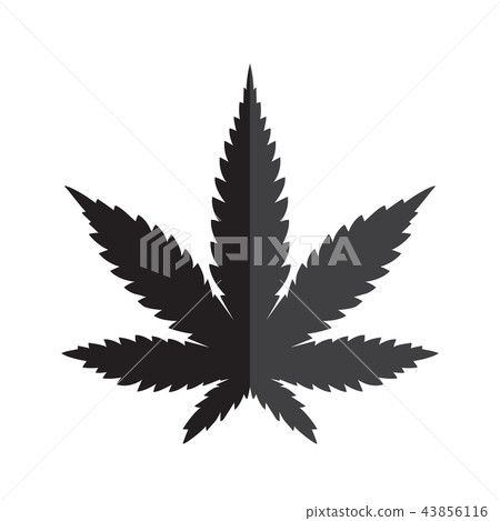 Marijuana vector cannabis leaf weed logo icon art Marijuana vector cannabis leaf weed logo icon art 43856116