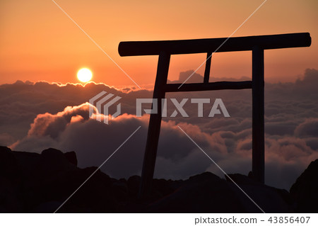 Chausu-dake Okomitsu 43856407
