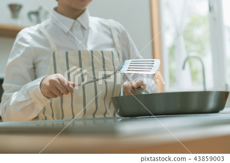 frying pan, frying-pan, frypan 43859003