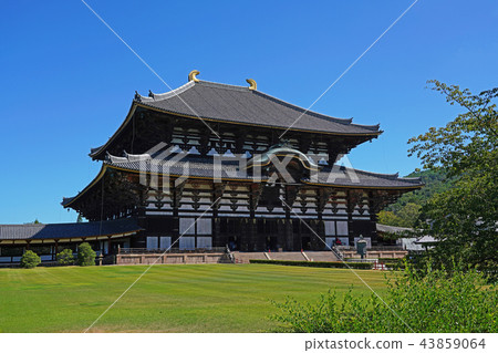 [東大寺大佛]奈良縣奈良市佐治町 43859064