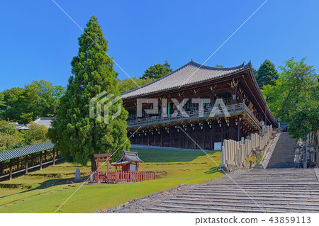 [Todai-ji Temple Nizuki-do] (High-resolution version) 43859113
