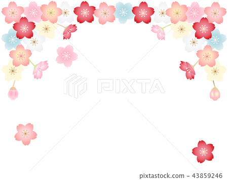櫻花9 櫻花9 43859246
