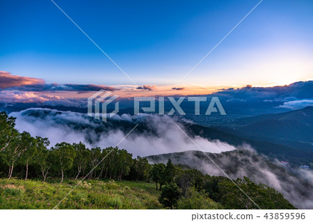 《Nagano Prefecture》Ryuo Mountain Park/Sea of clouds at sunset 43859596
