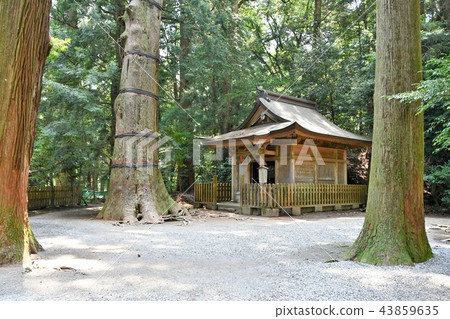 Takachiho of early summer Takachiho of early summer 43859635