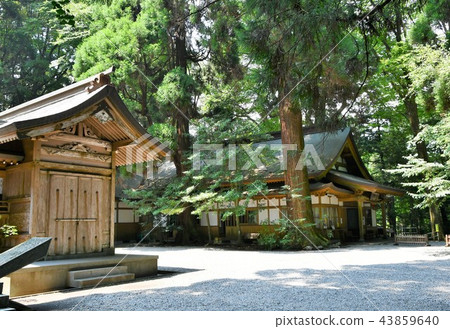 Takachiho of early summer Takachiho of early summer 43859640