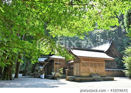 Takachiho of early summer Takachiho of early summer 43859645