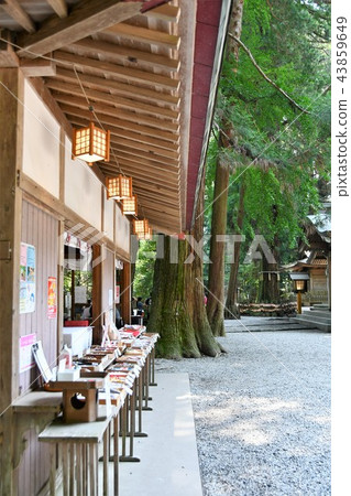 初夏的高千穗 初夏的高千穗 43859649