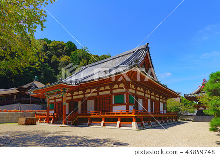 [Amanoyama Kongoji Temple]（高分辨率版）大阪縣長野市河內Amanocho 43859748