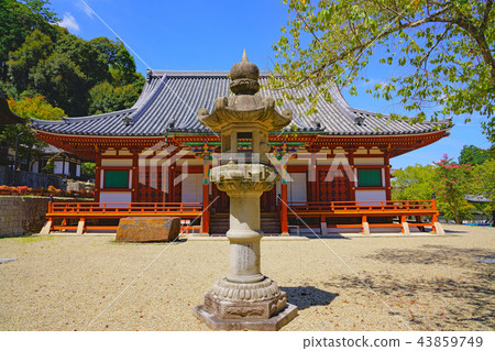 [Amanoyama Kongoji Temple]大阪縣長野市河野市Amano Town 43859749