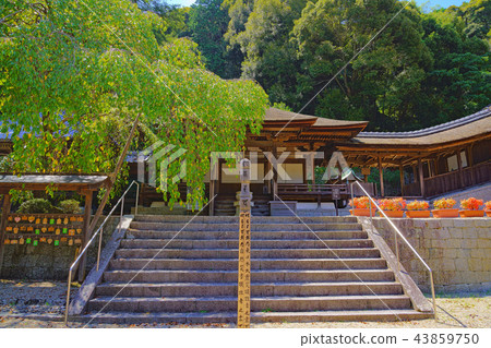 [Amanoyama Kongoji Temple] Amano Town, Kawachi Nagano City, Osaka Prefecture 43859750