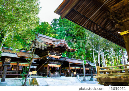 Nagano Suwa Taisha Shimosha Akimiya no Uta 43859951