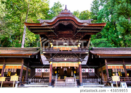 Nagano Suwa Taisha Shimosha Akimiya no Uta 43859955