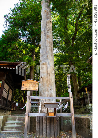 Nagano Suwa Taisha Shimosha Akimiya Kazuyuki Onchi Nagano Suwa Taisha Shimosha Akimiya Kazuyuki Onchi 43859993