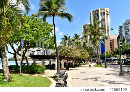 Holidays in Hawaii Holidays in Hawaii 43860199