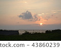 The sun comes home 43860239