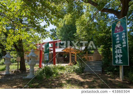 Yono Tenso Shrine Yono Seven Lucky Gods 43860304