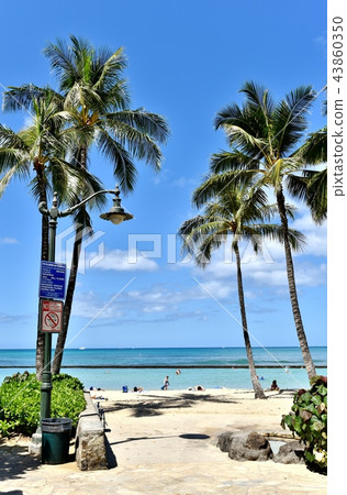 Holidays in Hawaii Holidays in Hawaii 43860350