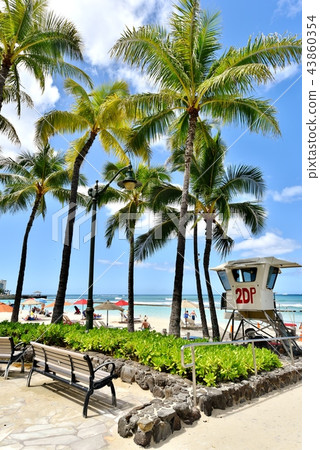 夏威夷的假期 夏威夷的假期 43860354